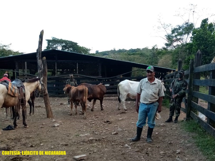 EJERCITO